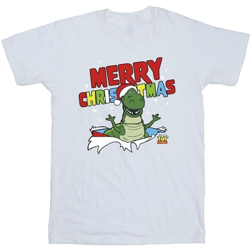 Vêtements Garçon T-shirts manches courtes Disney Toy Story Rex Christmas Burst Blanc
