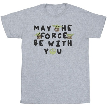 Vêtements Fille T-shirts manches longues Disney The Mandalorian Grogu May The Force Be With You Gris