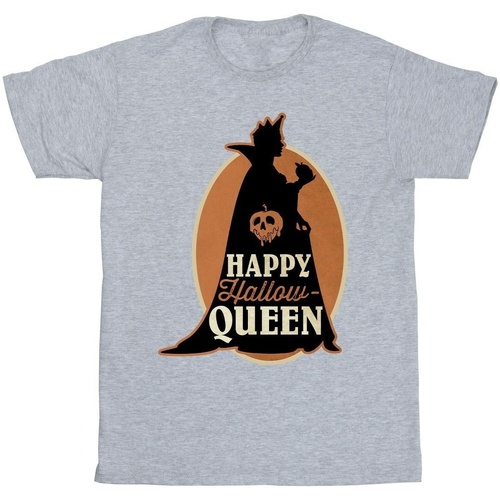 Vêtements Garçon T-shirts manches courtes Disney Villains Hallow Queen Gris
