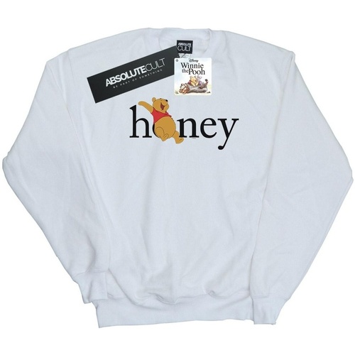 Vêtements Garçon Sweats Disney Winnie The Pooh Honey Blanc