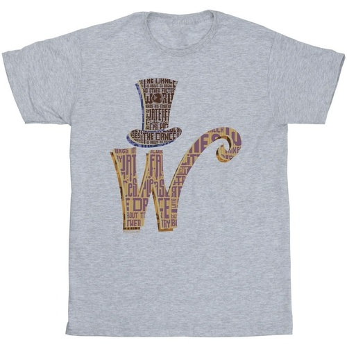 Vêtements Garçon T-shirts manches courtes Willy Wonka W Logo Hat Gris