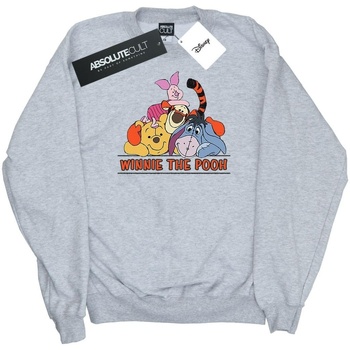 Vêtements Garçon Sweats Disney Winnie The Pooh Group Gris