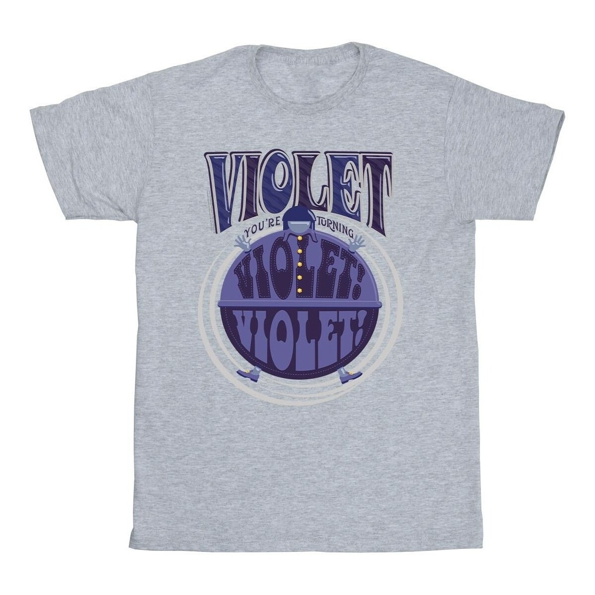 Vêtements Garçon T-shirts manches courtes Willy Wonka Violet Turning Violet Gris
