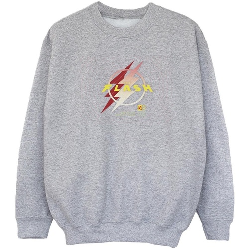 Vêtements Fille Sweats Dc Comics The Flash Lightning Logo Gris