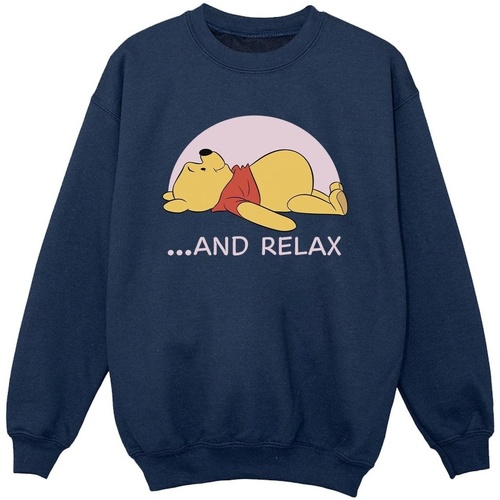 Vêtements Garçon Sweats Disney Winnie The Pooh Relax Bleu