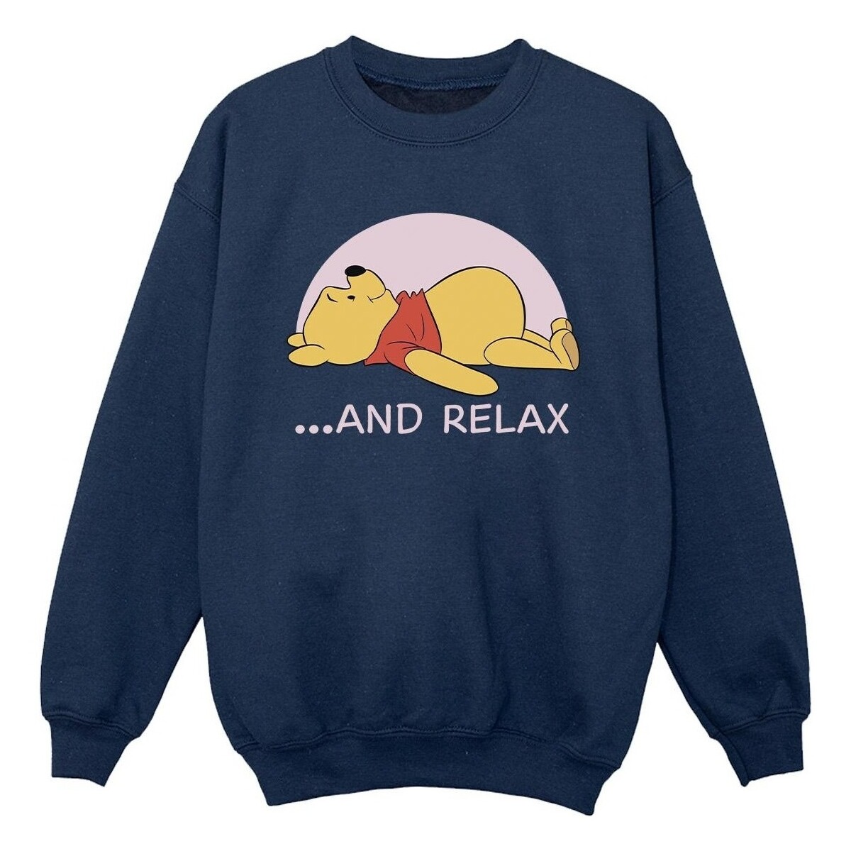 Vêtements Garçon Sweats Disney Winnie The Pooh Relax Bleu