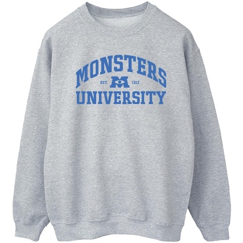 Vêtements Homme Sweats Disney Monsters University Logo Gris