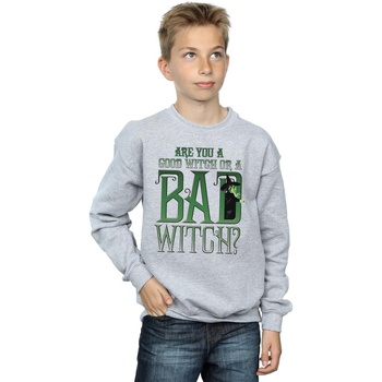 Vêtements Garçon Sweats The Wizard Of Oz Good Witch Bad Witch Gris