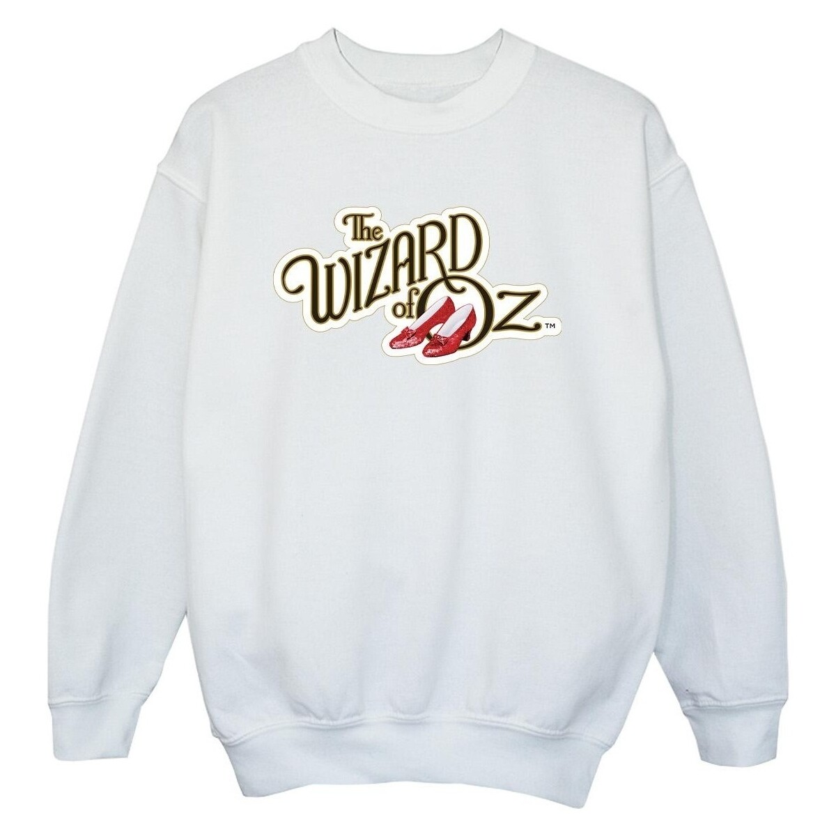 Vêtements Garçon Sweats The Wizard Of Oz Shoes Logo Blanc