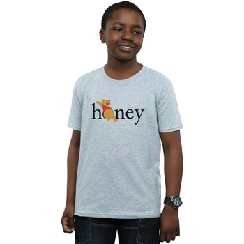 Vêtements Garçon T-shirts manches courtes Disney Winnie The Pooh Honey Gris