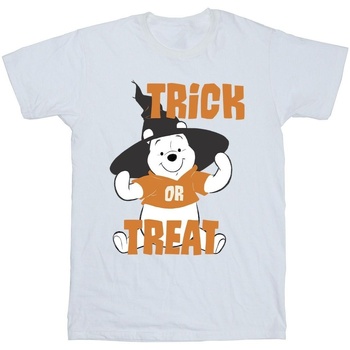 Vêtements Garçon T-shirts manches courtes Disney Winnie The Pooh Trick Or Treat Blanc