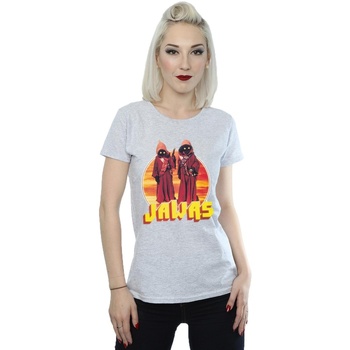 Vêtements Femme T-shirts manches longues Disney A New Hope Jawas Gris