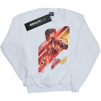 Vêtements Homme Sweats Marvel Studios Ant-Man And The Wasp Poster Blanc
