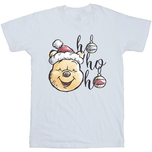 Vêtements Garçon T-shirts manches courtes Disney Winnie The Pooh Ho Ho Ho Baubles Blanc