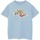 Vêtements Garçon T-shirts manches courtes The Wizard Of Oz Shoes Logo Bleu