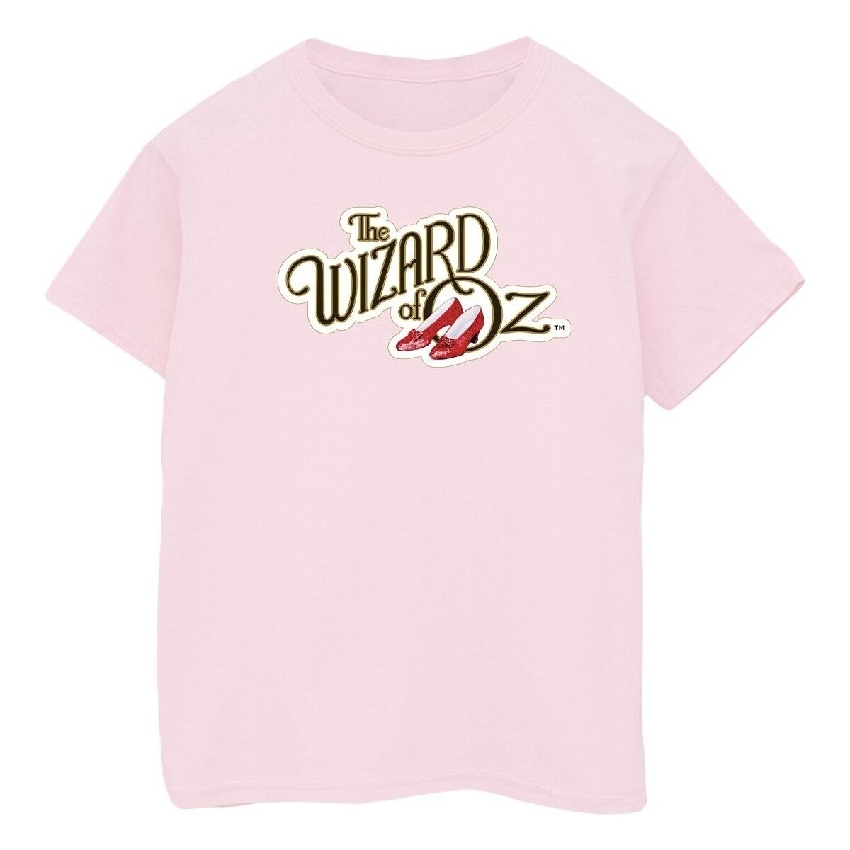 Vêtements Garçon T-shirts manches courtes The Wizard Of Oz Shoes Logo Rouge