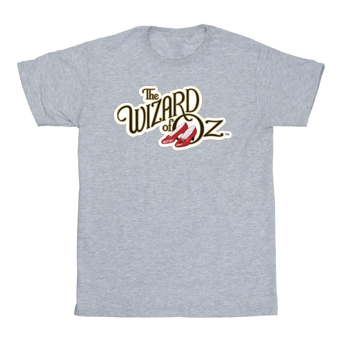 Vêtements Garçon T-shirts manches courtes The Wizard Of Oz Shoes Logo Gris