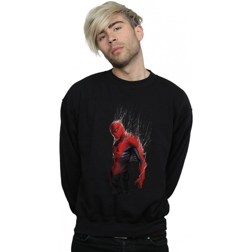 Vêtements Homme Sweats Marvel Spider-Man Web Wrap Noir