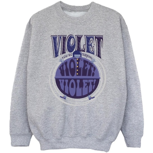 Vêtements Fille Sweats Willy Wonka Violet Turning Violet Gris