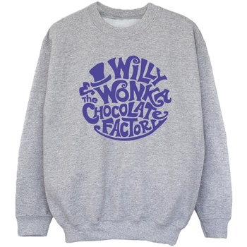 Vêtements Fille Sweats Willy Wonka & The Chocolate Fact Typed Logo Gris
