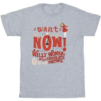 Vêtements Fille T-shirts manches longues Willy Wonka Verruca Salt I Want It Now Gris