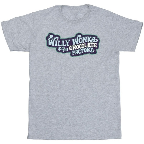 Vêtements Fille T-shirts manches longues Willy Wonka Chocolate Factory Logo Gris