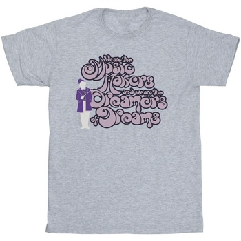 Vêtements Fille T-shirts manches longues Willy Wonka Dreamers Text Gris