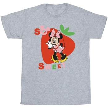 Vêtements Homme T-shirts manches longues Disney Minnie Mouse So Sweet Strawberry Gris