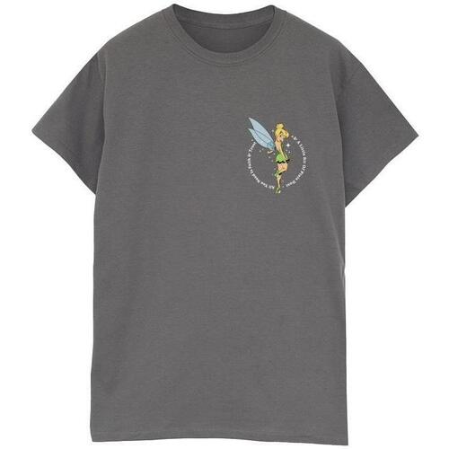 Vêtements Femme T-shirts manches longues Disney Peter Pan Tinker Bell Multicolore