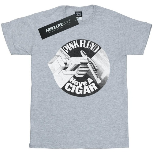 Vêtements Femme T-shirts manches longues Pink Floyd Have A Cigar Gris