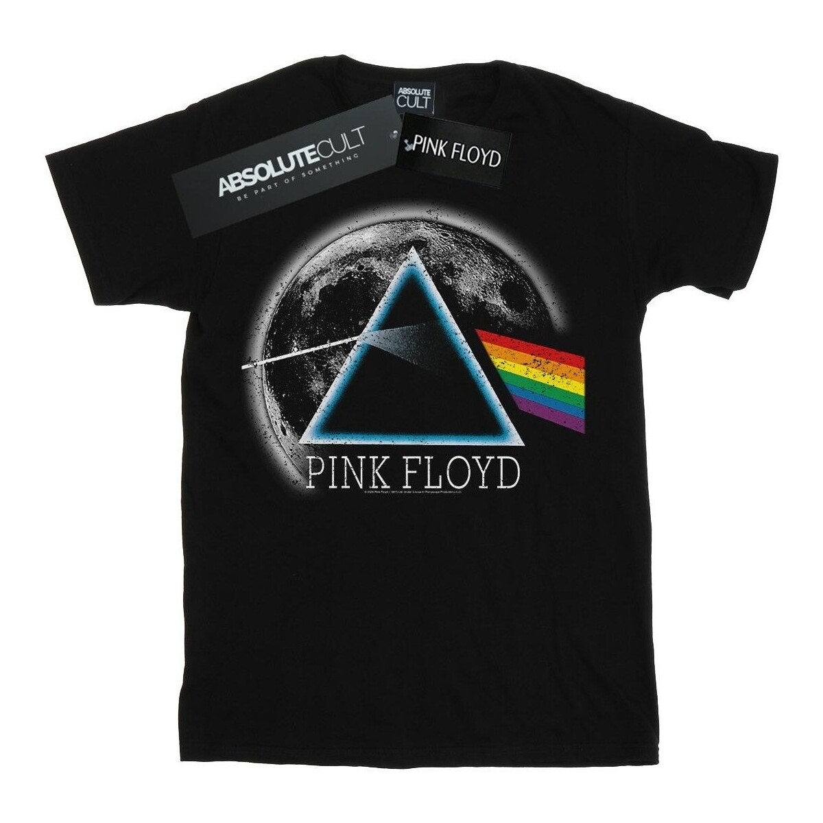 Vêtements Femme T-shirts manches longues Pink Floyd Dark Side Of The Moon Distressed Noir