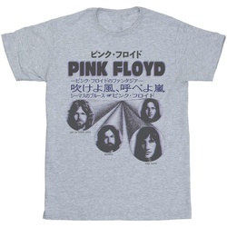 Vêtements Femme T-shirts manches longues Pink Floyd Japanese Cover Gris