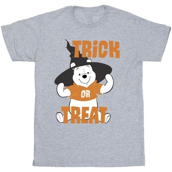 Vêtements Fille T-shirts manches longues Disney Winnie The Pooh Trick Or Treat Gris
