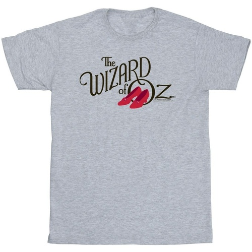 Vêtements Fille T-shirts manches longues The Wizard Of Oz Ruby Slippers Logo Gris