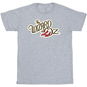 Vêtements Fille T-shirts manches longues The Wizard Of Oz Shoes Logo Gris