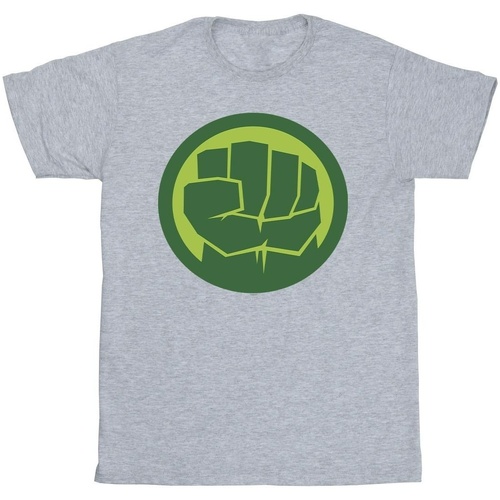 Vêtements Homme T-shirts manches longues Marvel Hulk Chest Logo Gris