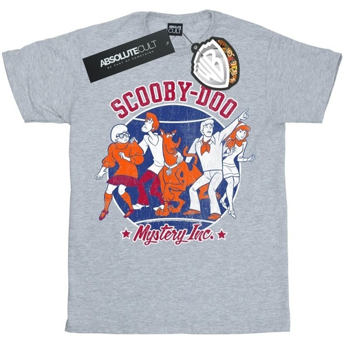 Vêtements Femme T-shirts manches longues Scooby Doo Collegiate Circle Gris