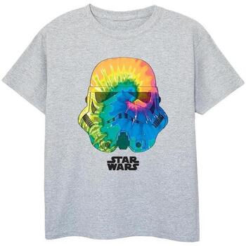 Vêtements Garçon T-shirts manches courtes Star Wars: A New Hope BI43661 Gris