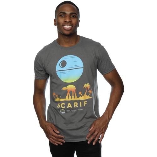 Vêtements Homme T-shirts manches longues Disney Rogue One Scarif Sunset Multicolore
