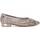 Chaussures Femme Derbies & Richelieu Xti 14260802 Gris