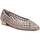 Chaussures Femme Derbies & Richelieu Xti 14260802 Gris