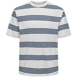 Vêtements Homme T-shirts manches courtes Only & Sons  22028148 LEONARD Multicolore