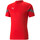 Vêtements Homme T-shirts & Polos Puma 657379-01 Rouge
