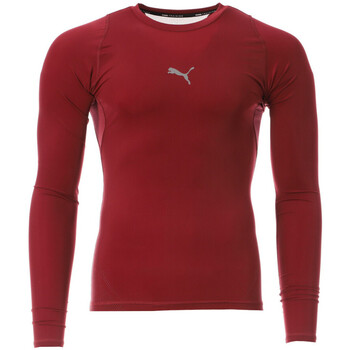 Vêtements Homme T-shirts manches longues Puma 764886-09 Rouge