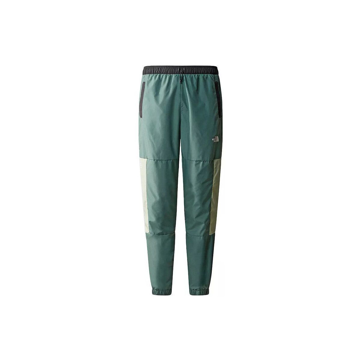 Vêtements Homme Pantalons The North Face MA WIND TRACK Vert