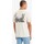 Vêtements Homme T-shirts manches courtes Levi's 22491 1493 GRAPHIC CREWNECK TEE Beige