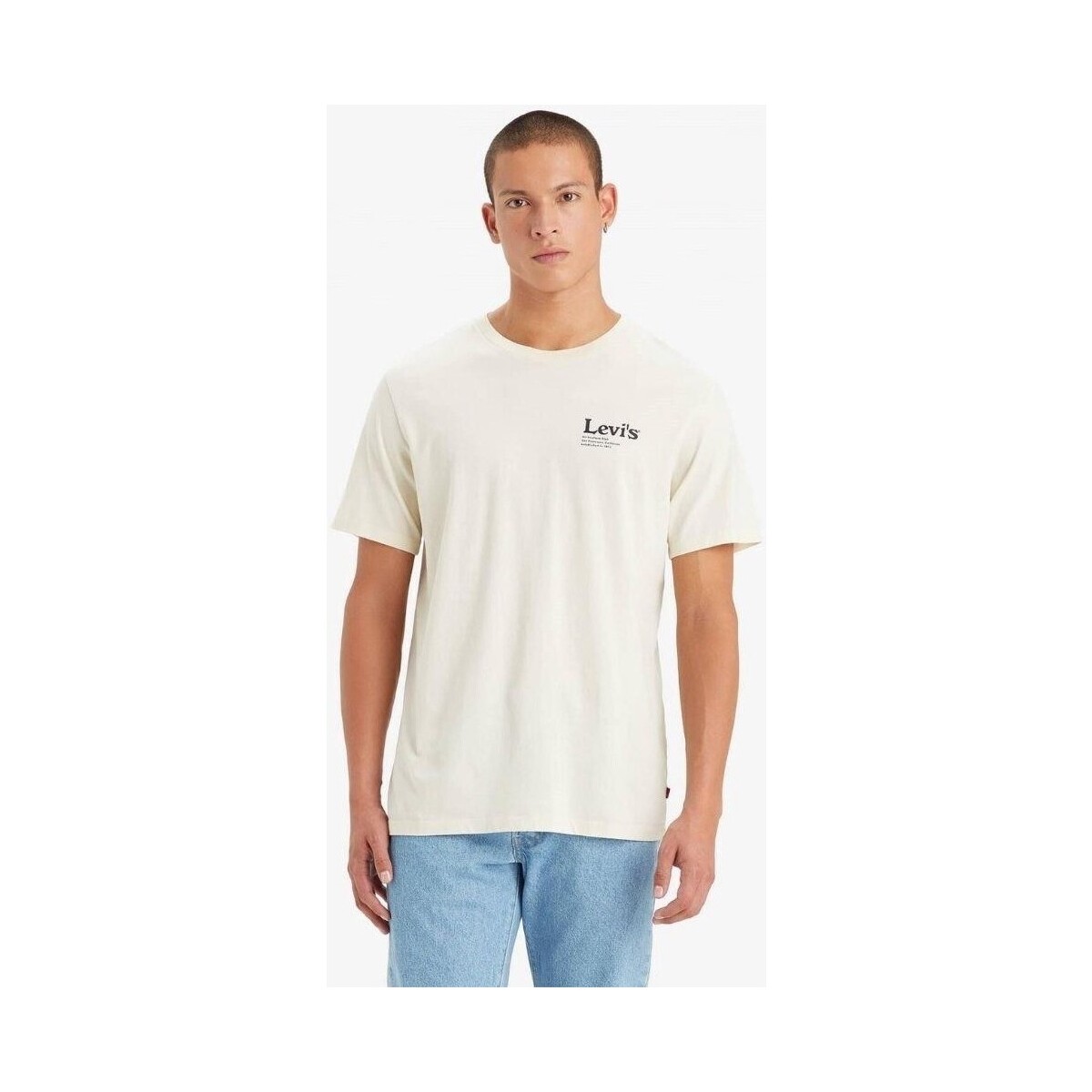 Vêtements Homme T-shirts manches courtes Levi's 22491 1493 GRAPHIC CREWNECK TEE Beige