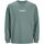 Vêtements Garçon T-shirts & Polos Jack & Jones 12253958 ESTERBRO-LAREL WREATH Vert