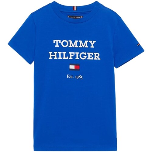 Vêtements Garçon T-shirts manches longues Tommy Hilfiger KB0KB08671 Bleu