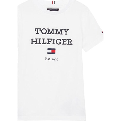 Vêtements Garçon T-shirts manches longues Tommy capuche Hilfiger KB0KB08671 Blanc